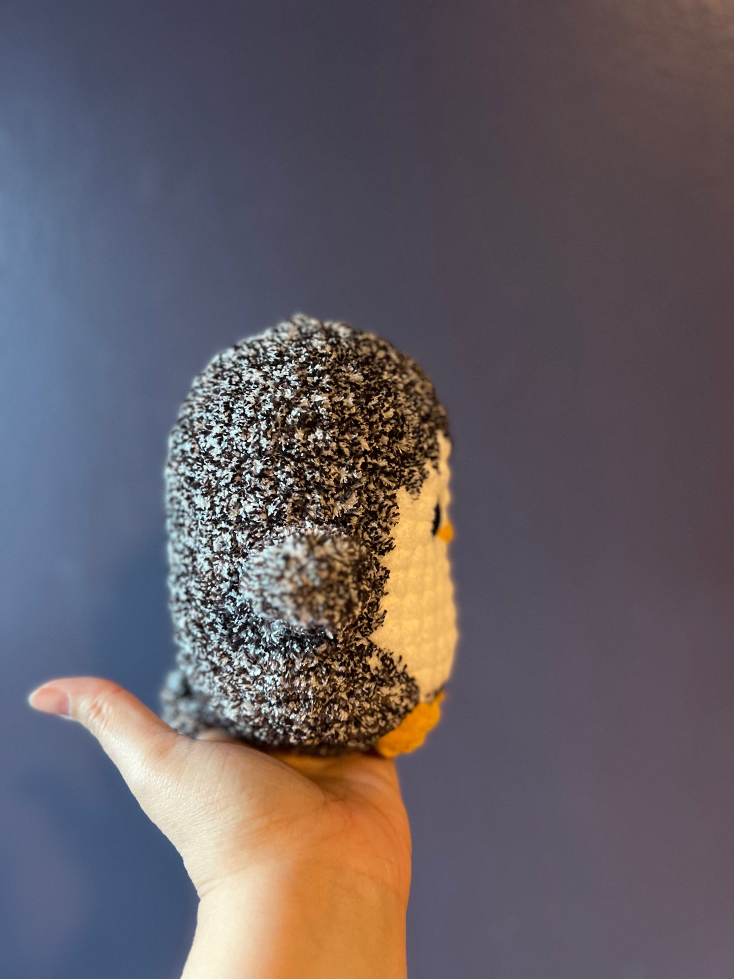 Penguin *Moonless Night*